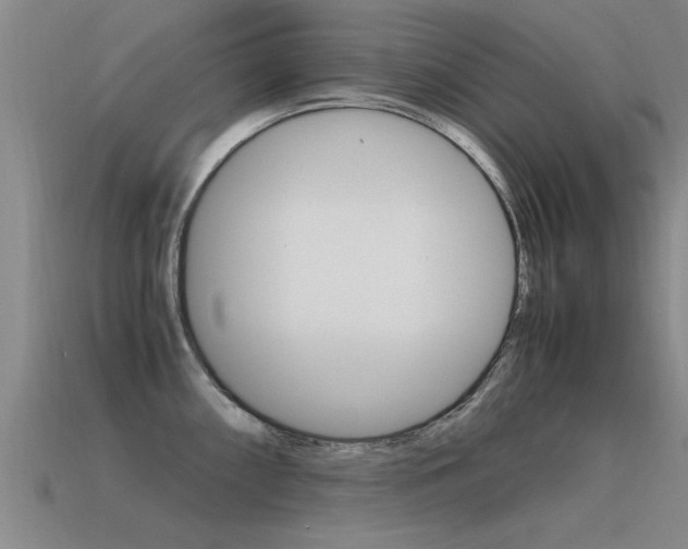 X0000115641098200911101051