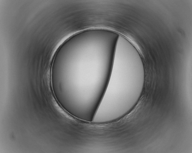 X0000115641100200911101051