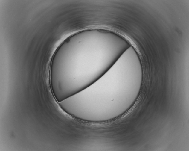 X0000115641102200911101051