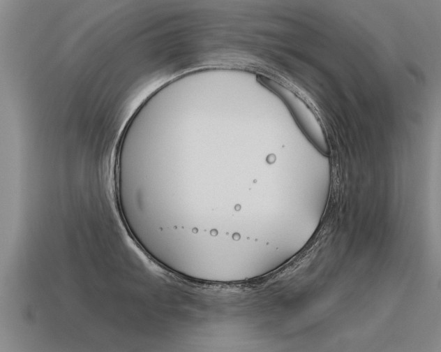 X0000115641103200911101050