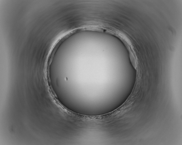 X0000115641104200911101050
