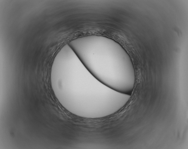 X0000115641109200911101050