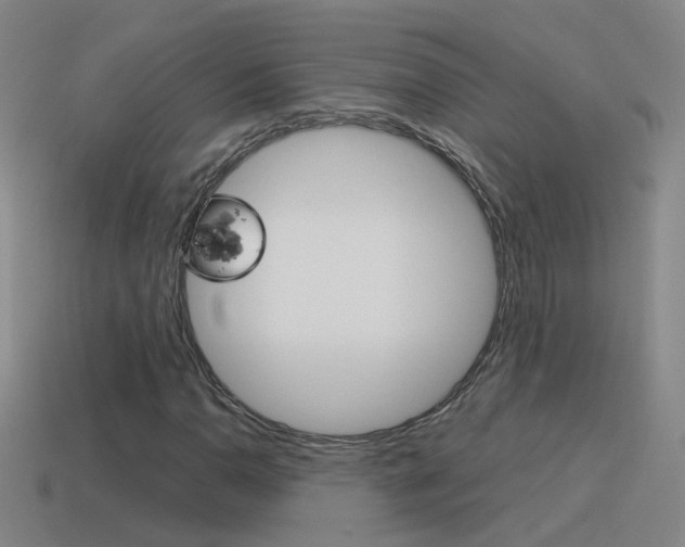 X0000115641110200911101050