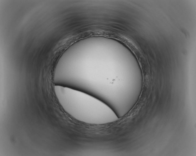 X0000115641111200911101050