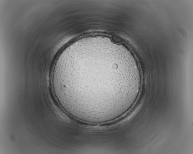 X0000115641113200911101050