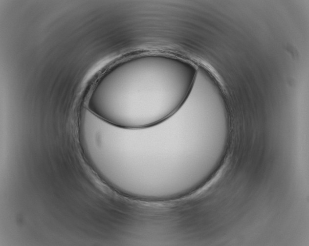 X0000115641114200911101050