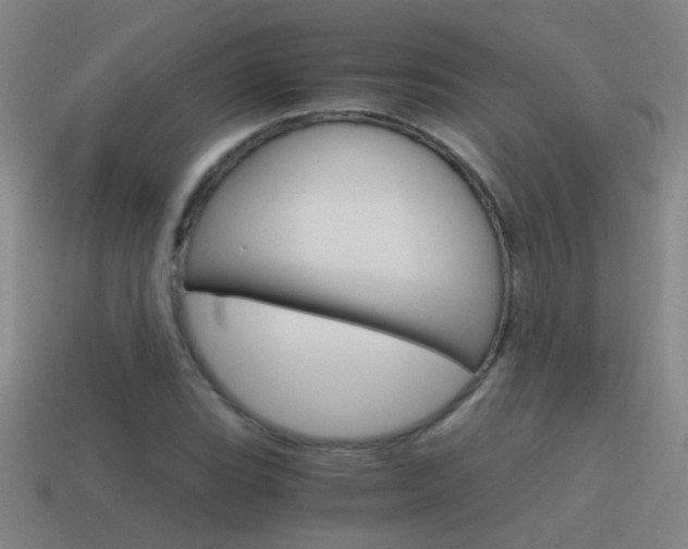 X0000115641119200911101050