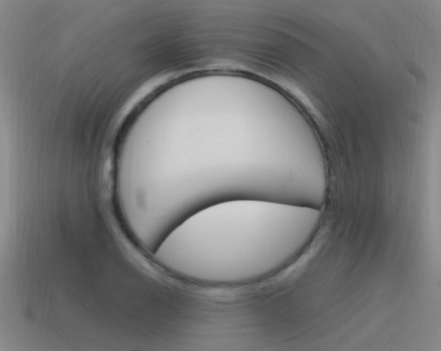 X0000115641126200911101050