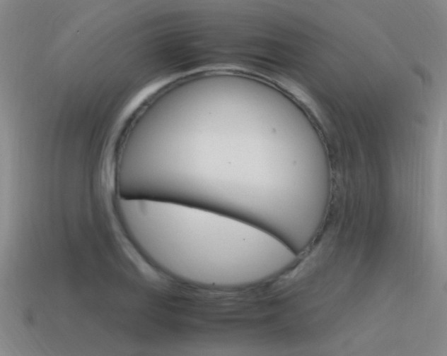 X0000115641127200911101050