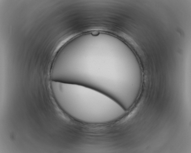 X0000115641129200911101050