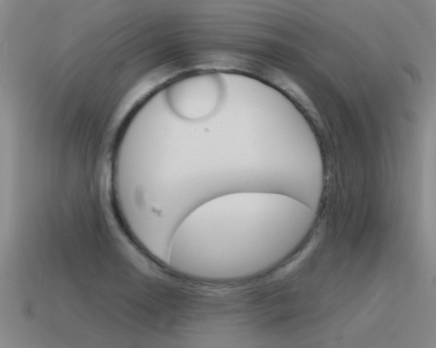 X0000115641130200911101050