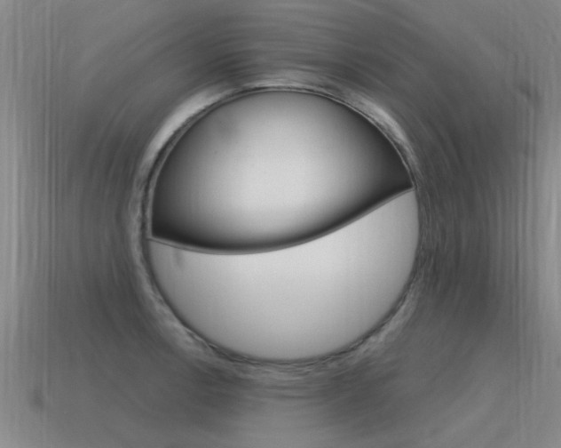 X0000115641138200911101050