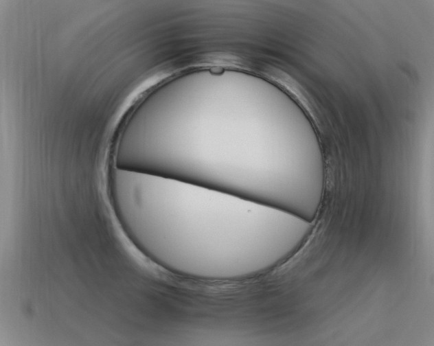 X0000115641139200911101050