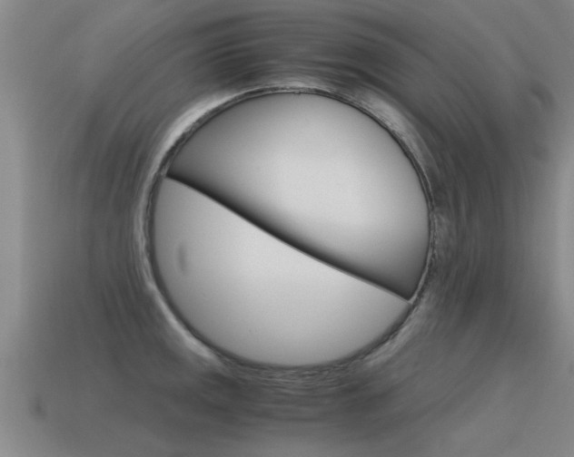 X0000115641141200911101050