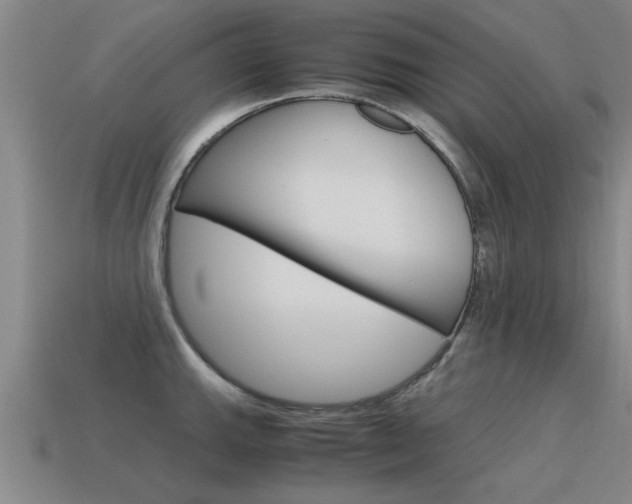X0000115641143200911101050