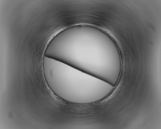X0000115641145200911101050