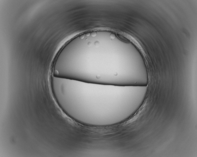 X0000115641149200911101050