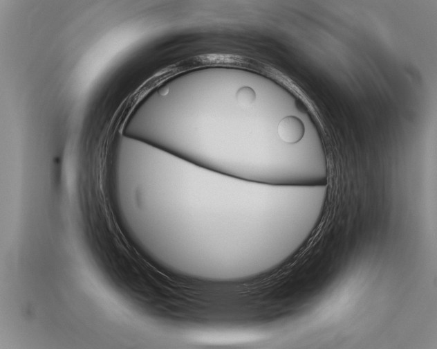X0000115641151200911101050