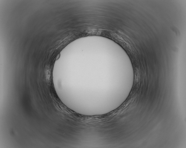 X0000115641154200911101050