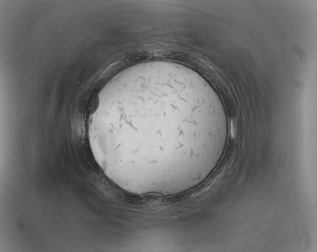 X0000115641155200911101050
