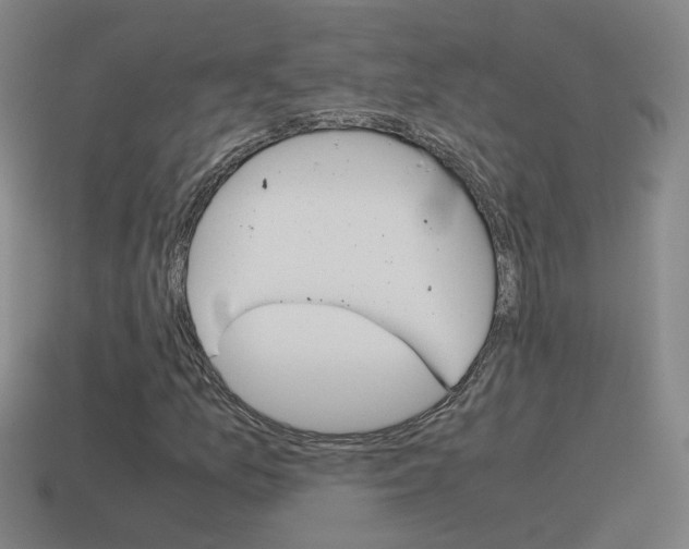 X0000115641157200911101050