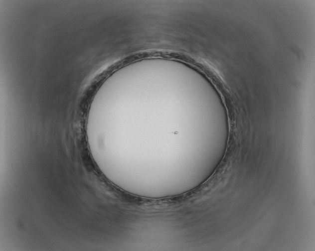 X0000115641159200911101050