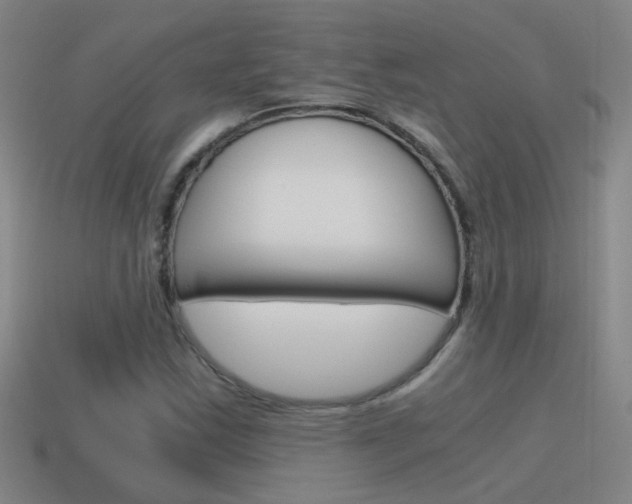 X0000115641163200911101050
