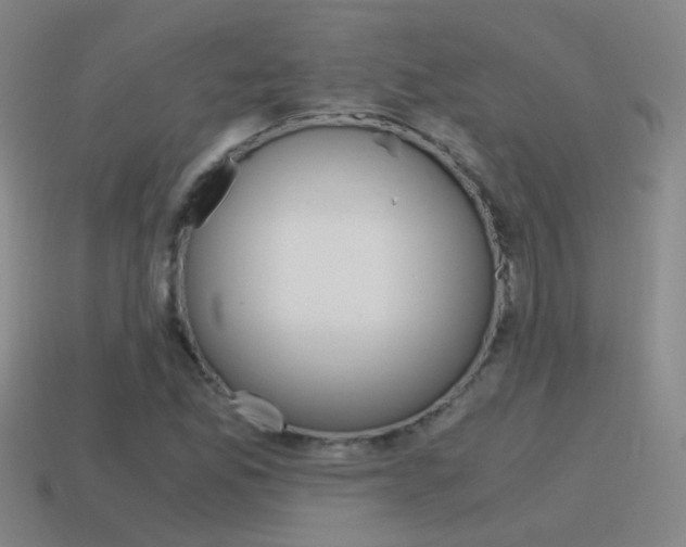 X0000115641165200911101050