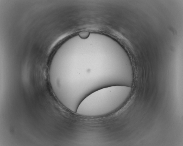 X0000115641166200911101050