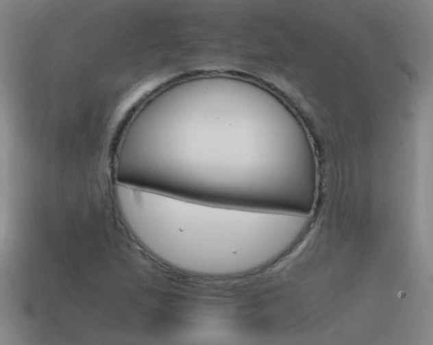 X0000115641167200911101050