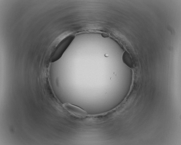 X0000115641169200911101050