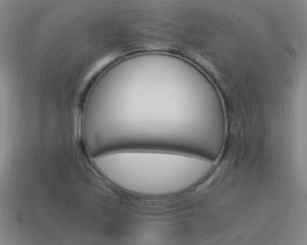 X0000115641171200911101050