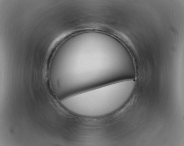 X0000115641172200911101050