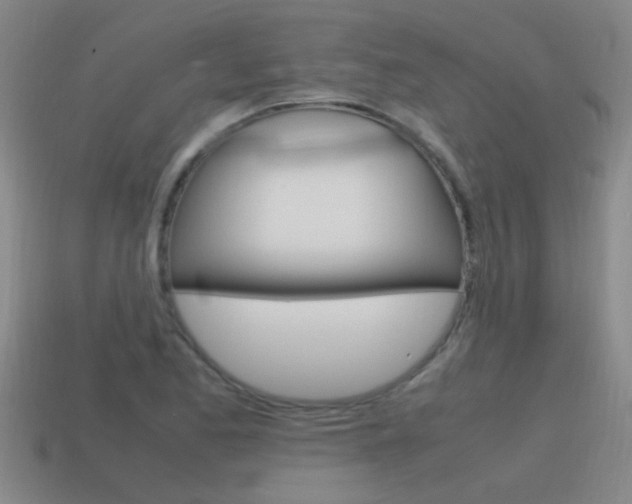 X0000115641173200911101050