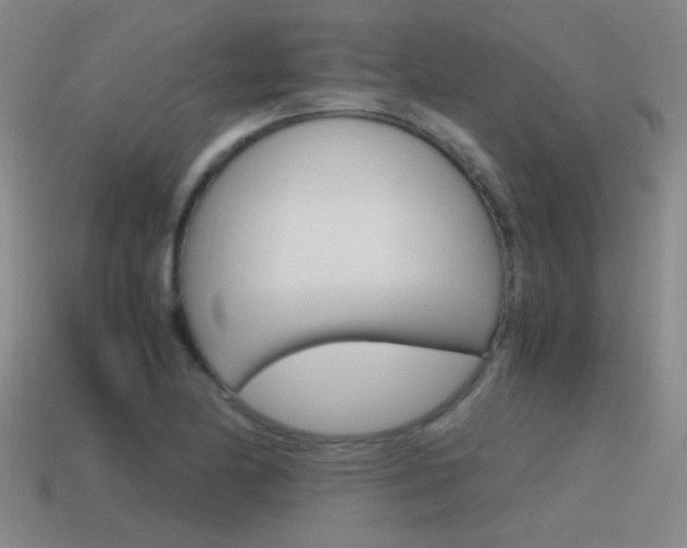 X0000115641174200911101050