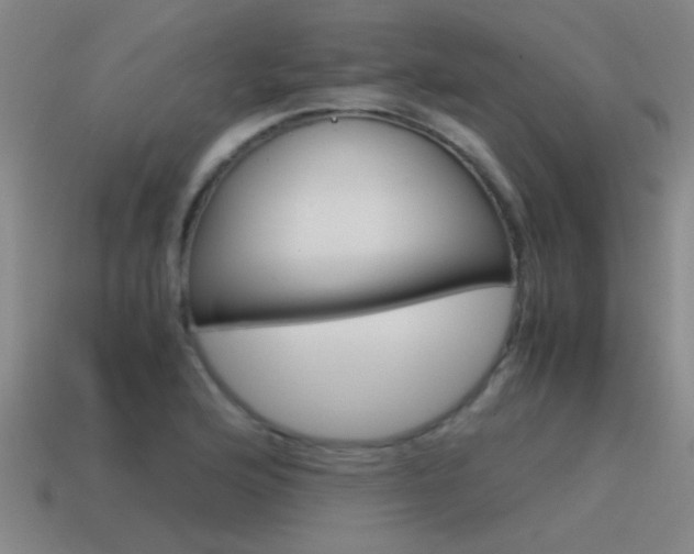 X0000115641176200911101050