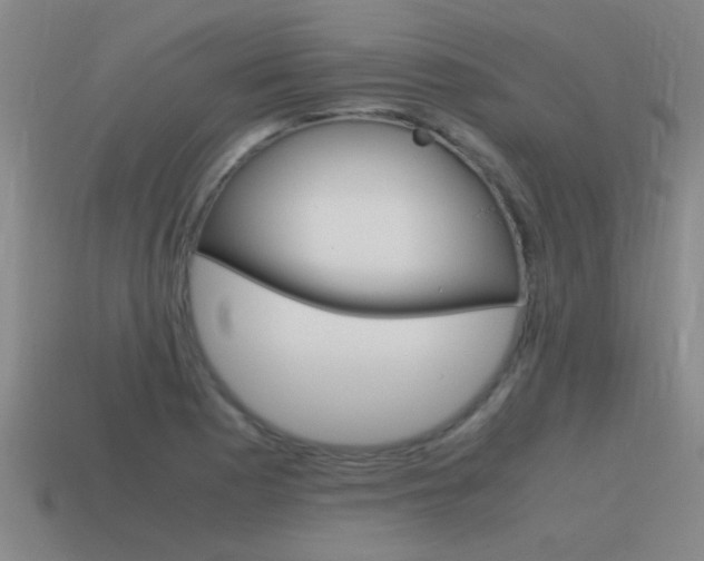 X0000115641177200911101050