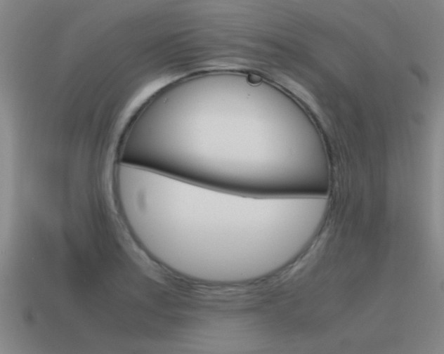 X0000115641179200911101050