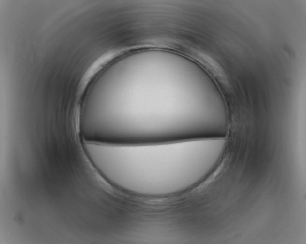 X0000115641180200911101050