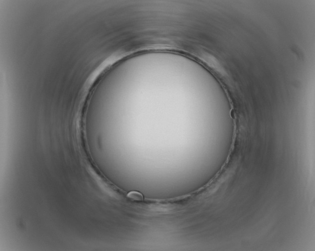 X0000115641181200911101049