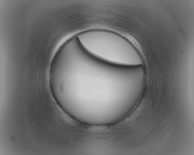 X0000115641183200911101049