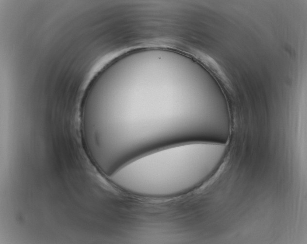 X0000115641184200911101049