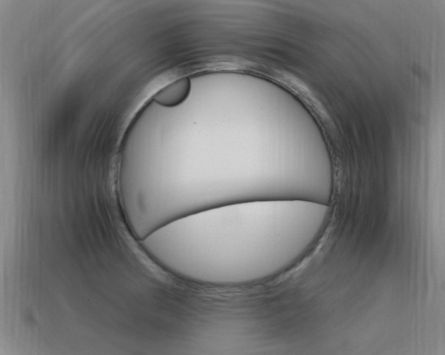 X0000115641186200911101049