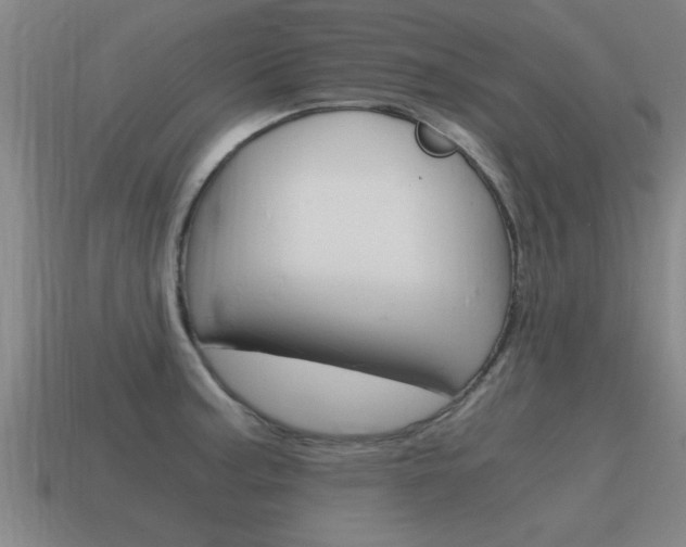 X0000115641187200911101049