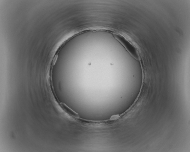 X0000115641189200911101049