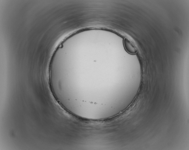 X0000115641191200911101049