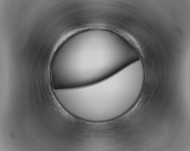 X0000115641192200911101049