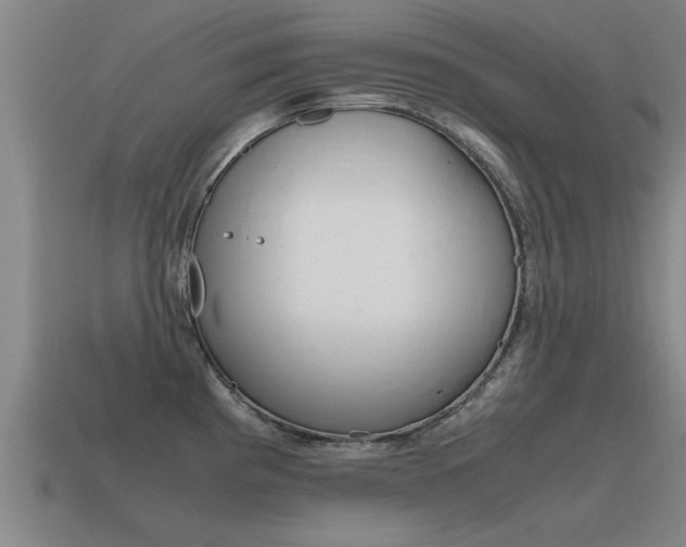 X0000115641193200911101049