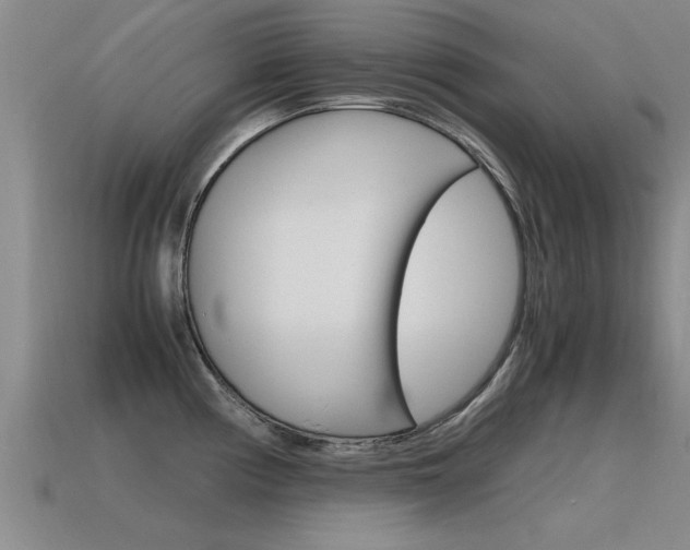 X0000115641194200911101049
