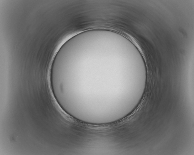 X0000115641195200911101049